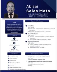 Se dise&ntilde;o su CV